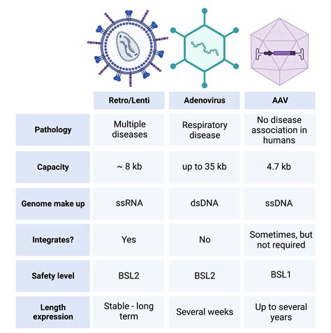 Overview of Viruses and Virus Infection .